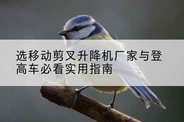 龙岩电动升降机厂家-选移动剪叉升降机厂家与登高车必看实用指南