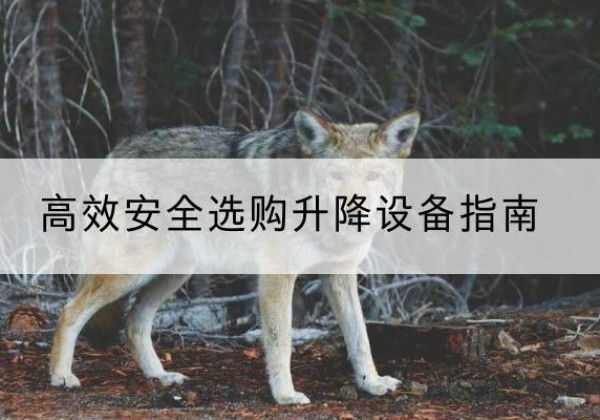 龙岩升降货梯厂家推荐-*安全选购升降设备指南