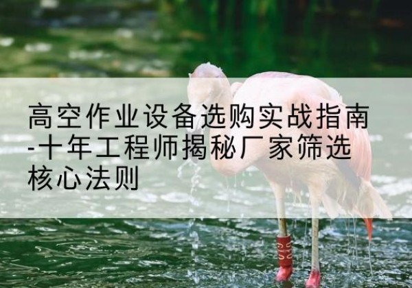 龙岩剪叉式升降机厂家-高空作业设备选购实战指南-十年工程师揭秘厂家筛选核心法则